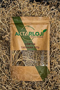 Çörtük Otu / Tarhana Otu - 5