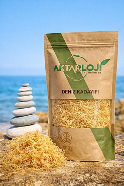 Deniz Kadayıfı - 2
