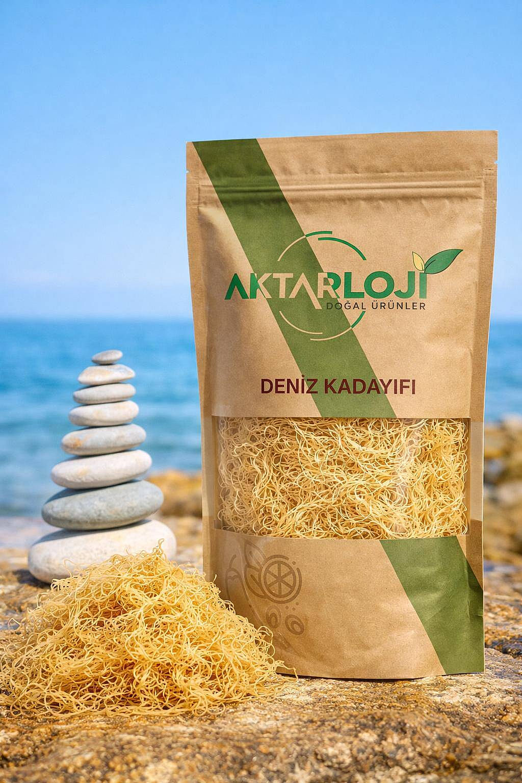 Deniz Kadayıfı - 2