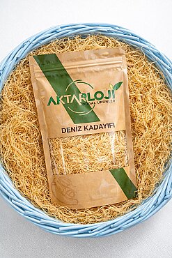 Deniz Kadayıfı - 7