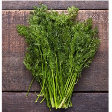 Dereotu Tohumu Geniş Yapraklı - Aktarloji