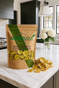 Deve Tabanı Otu ( Çarkıfelek - Karaçalı ) - 2