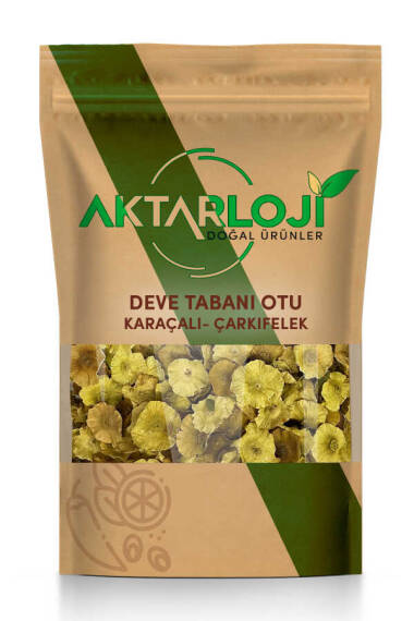 Deve Tabanı Otu ( Çarkıfelek - Karaçalı ) - 1