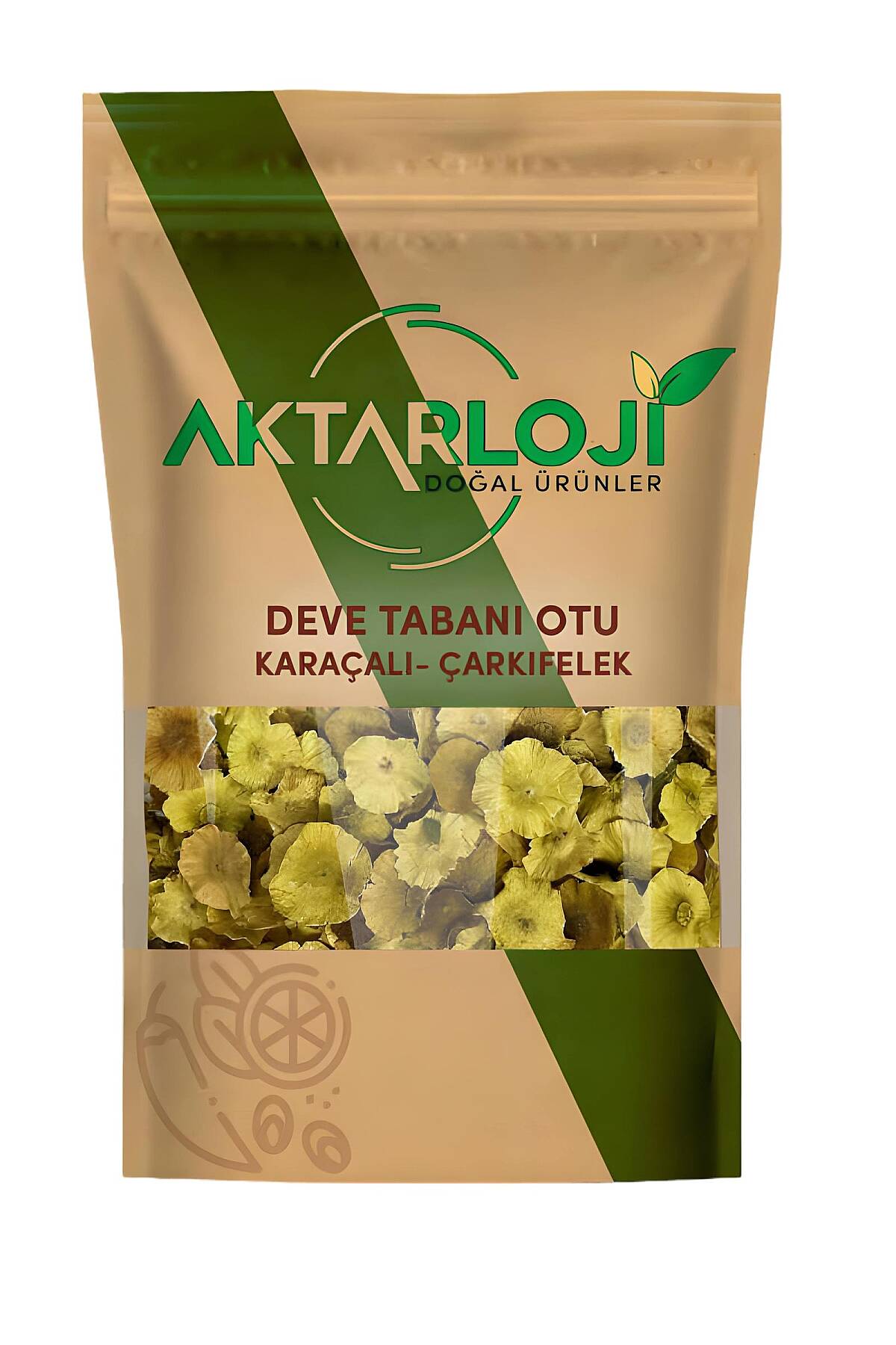Deve Tabanı Otu ( Çarkıfelek - Karaçalı ) - 2