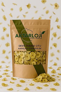 Deve Tabanı Otu ( Çarkıfelek - Karaçalı ) - 4