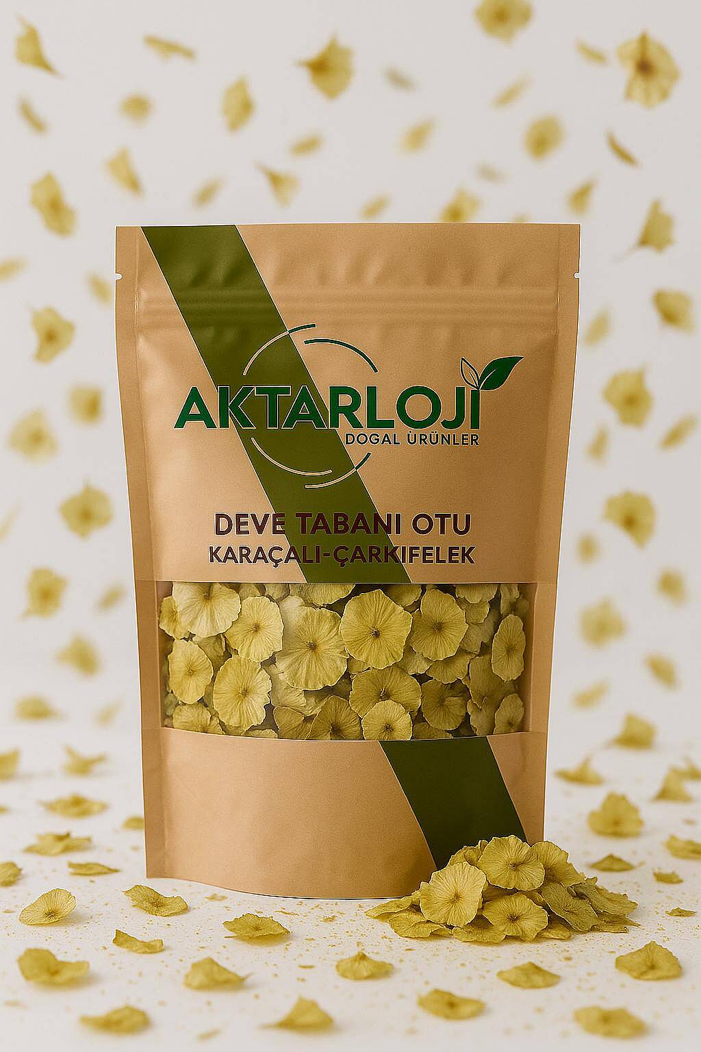 Deve Tabanı Otu ( Çarkıfelek - Karaçalı ) - 4