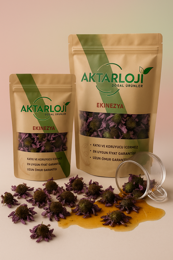 Ekinezya Tomurcuk - 4