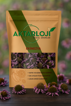 Ekinezya Tomurcuk - 5