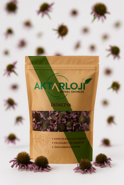 Ekinezya Tomurcuk - 7