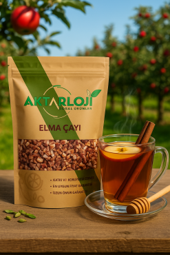 Elma Çayı - 3