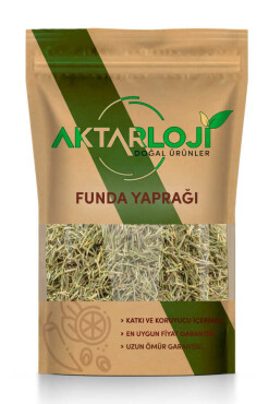 Funda Yaprağı - Aktarloji
