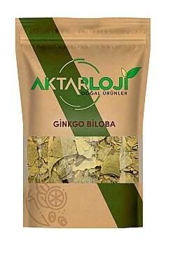 Ginkgo Biloba Bitkisi - 2