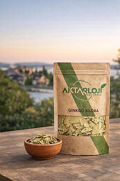 Ginkgo Biloba Bitkisi - 3