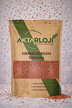 Glutensiz Kırmızı Sorgum Tohumu - 4