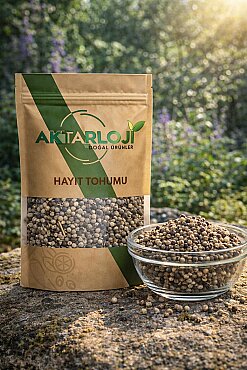 Hayıt Tohumu - 4