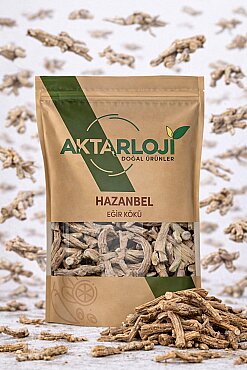 Hazanbel - 6