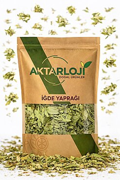 İğde Yaprağı - 4