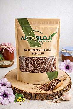 Kahverengi Hardal Tohumu - 3