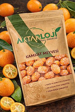 Kamkat Meyvesi Kurusu - 2