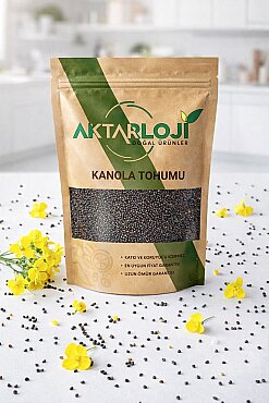 Kanola Tohumu - 6
