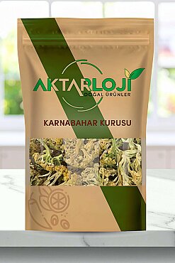 Karnabahar Kurusu - 1