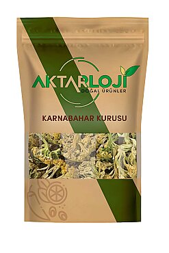 Karnabahar Kurusu - 5