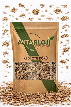 Kedi Otu Kökü - 4