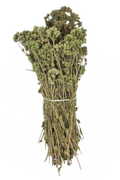 Kekik Çayı Bağ - Aktarloji