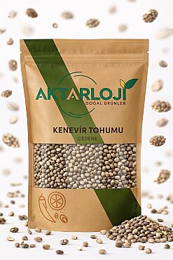 Kenevir Tohumu ( Kendir ) - 4