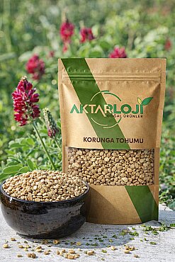 Korunga Tohumu - 2