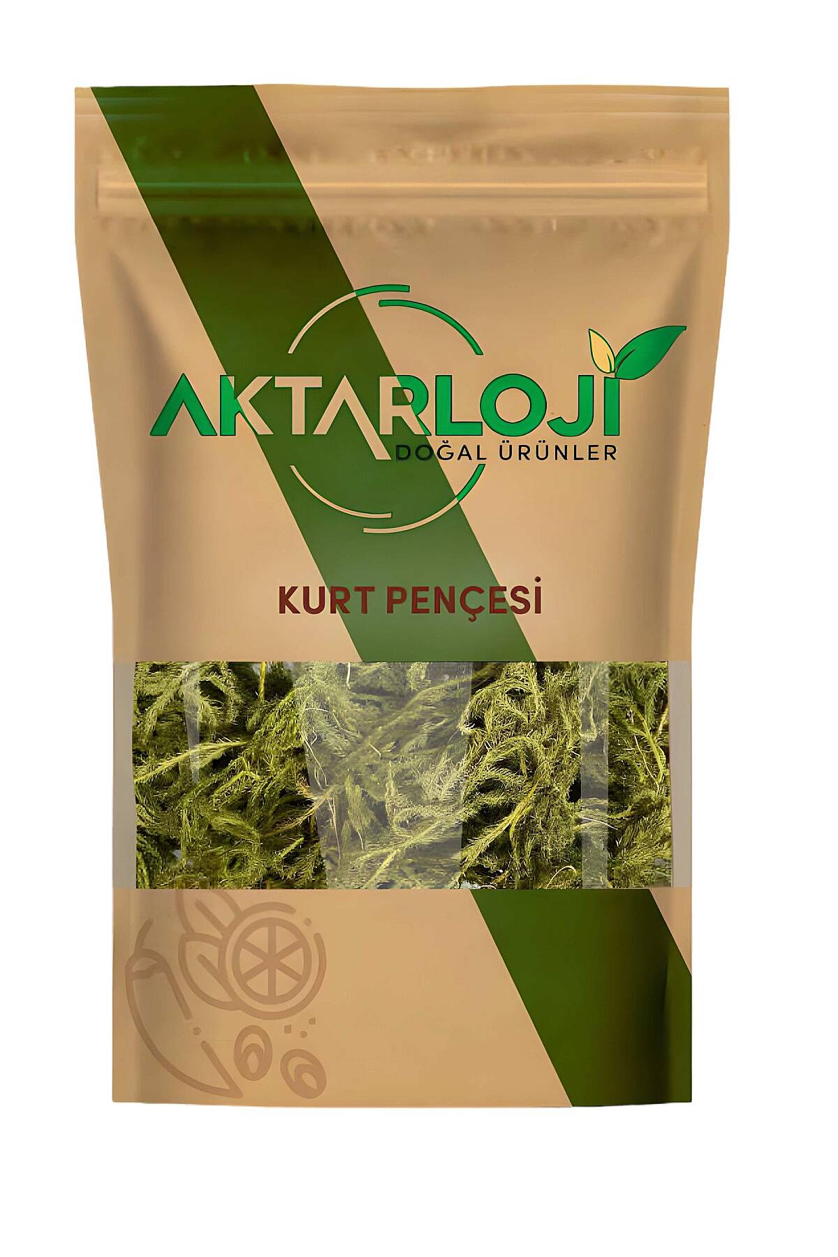 Kurt Pençesi Otu - 2