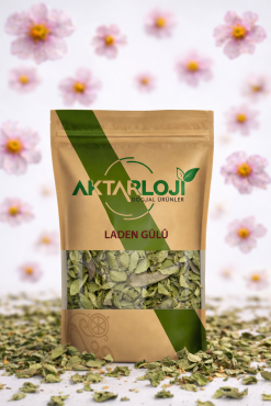 Laden Gülü Kurusu - 3