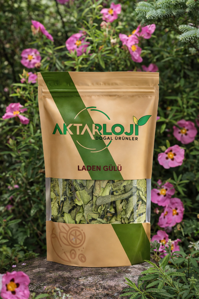 Laden Gülü Kurusu - 6
