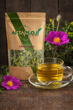 Laden Gülü Kurusu - 2