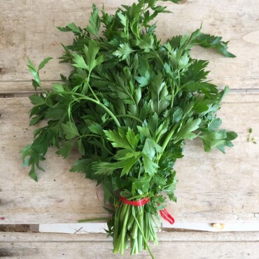 Maydanoz Tohumu - Aktarloji