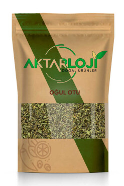 Oğul Otu - Aktarloji