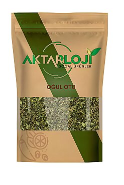 Oğul Otu - 2