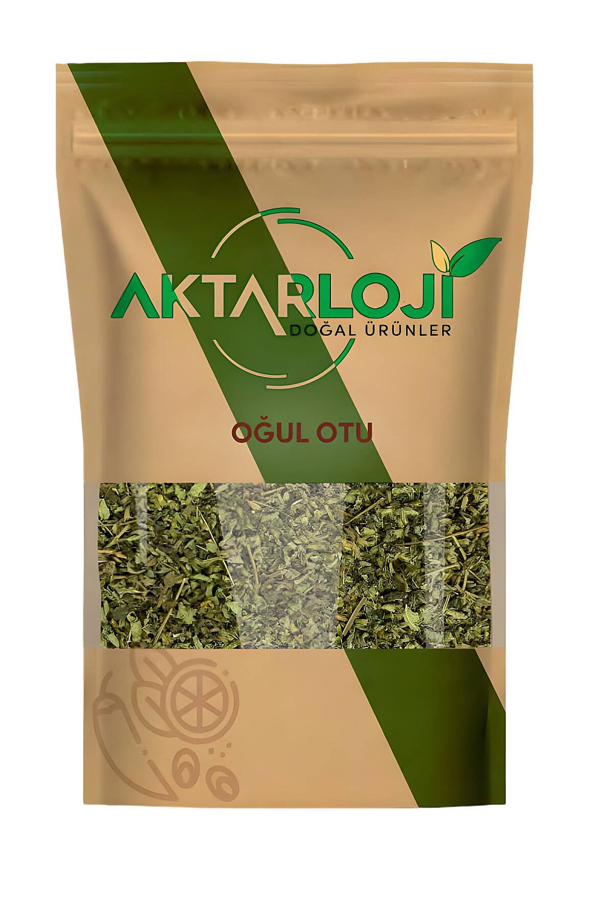 Oğul Otu - 2
