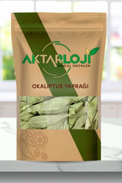 Okaliptus Yaprağı - 1
