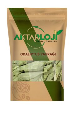 Okaliptus Yaprağı - 2