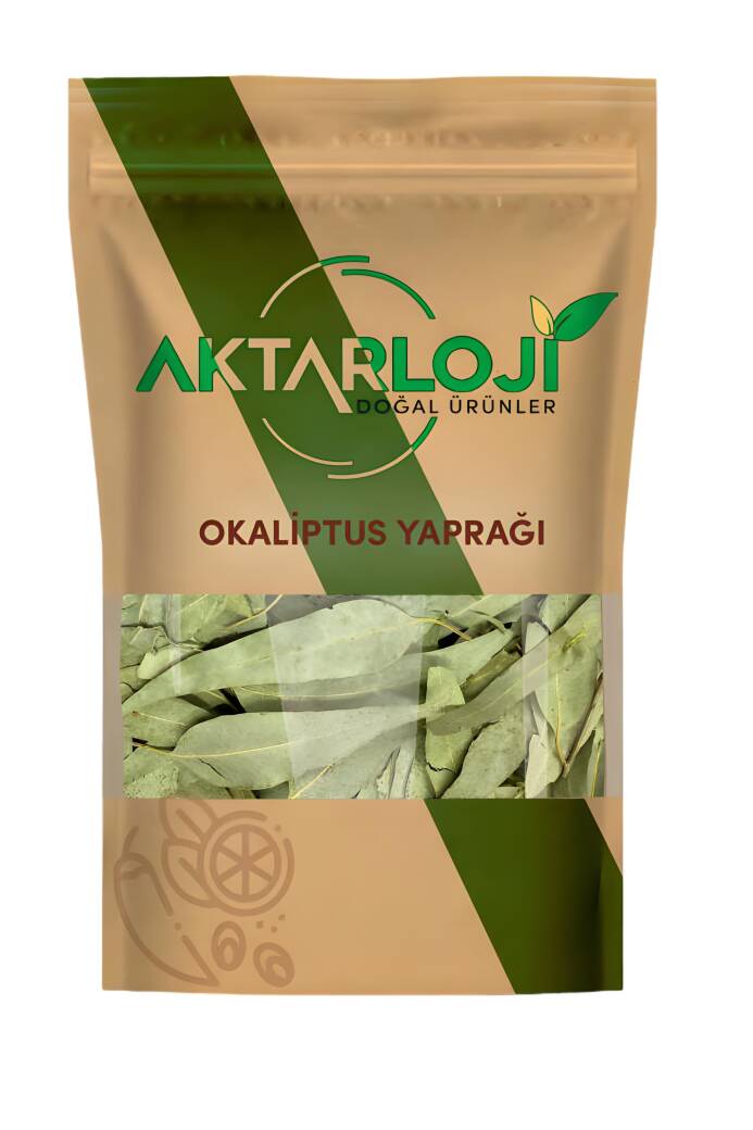 Okaliptus Yaprağı - 2