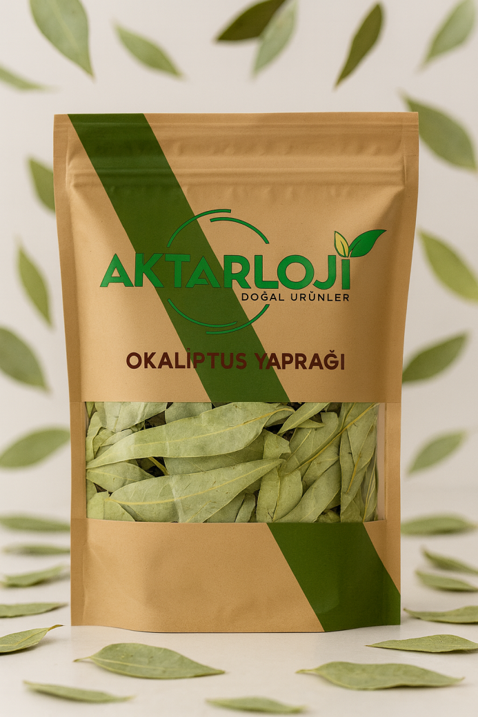 Okaliptus Yaprağı - 4