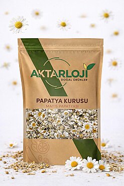 Papatya Kurusu - 4