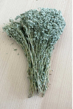 Pelin Otu Bağ - Aktarloji