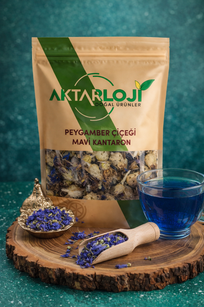 Peygamber Çiçeği ( Mavi Kantaron ) - 2