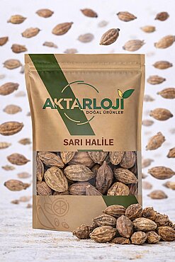 Sarı Halile - 3
