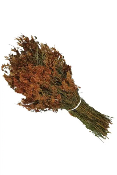 Sarı Kantaron Otu Bağ - Aktarloji