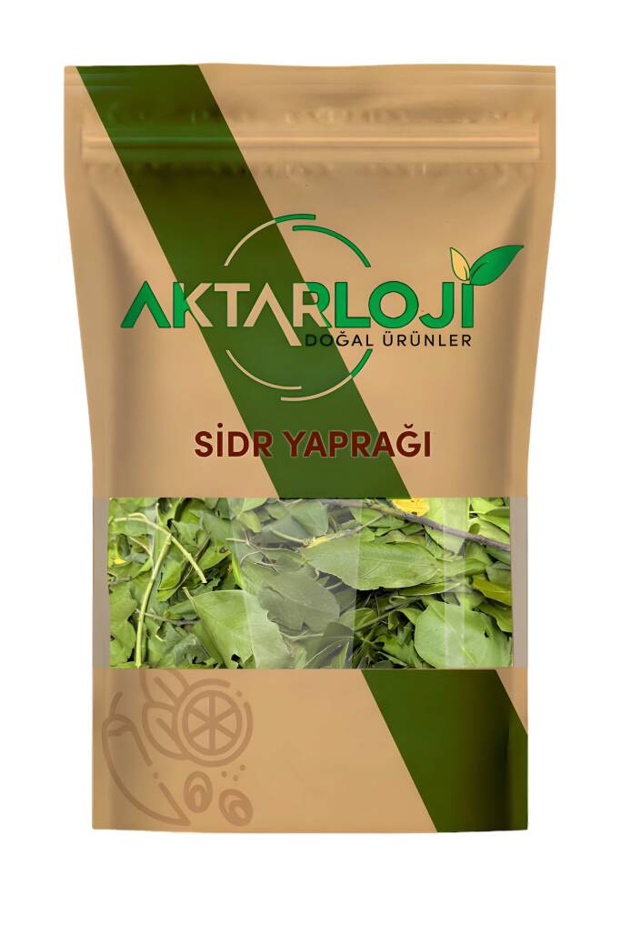 Sidr Yaprağı (Arabistan Kirazı Yaprağı) Es-Sidre / Sedir - 4