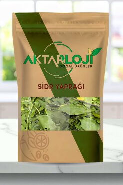 Sidr Yaprağı (Arabistan Kirazı Yaprağı) Es-Sidre / Sedir - 1