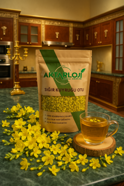 Sığır Kuyruğu Otu - 4